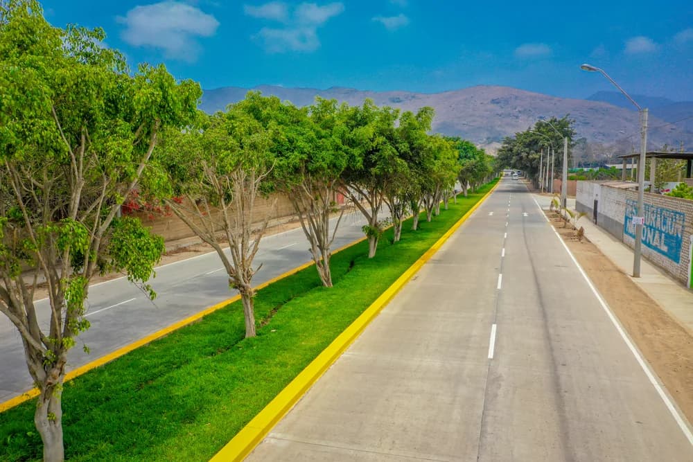 Av. Manuel Valle, Pachacámac